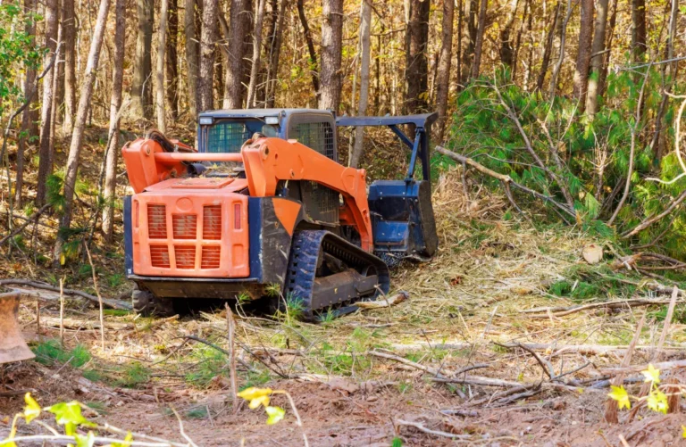 Forestry Mulching Contractors