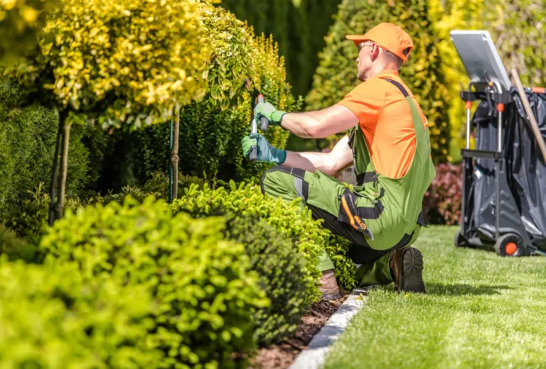 Landscaping Contractor