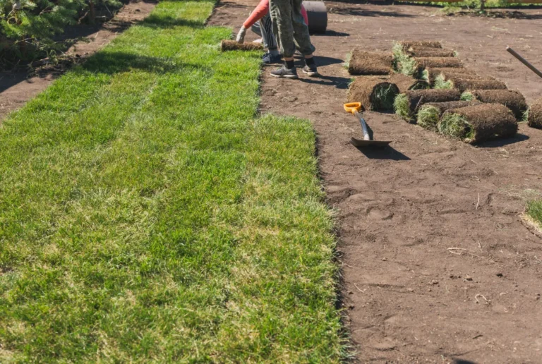 Sod Installation Companies