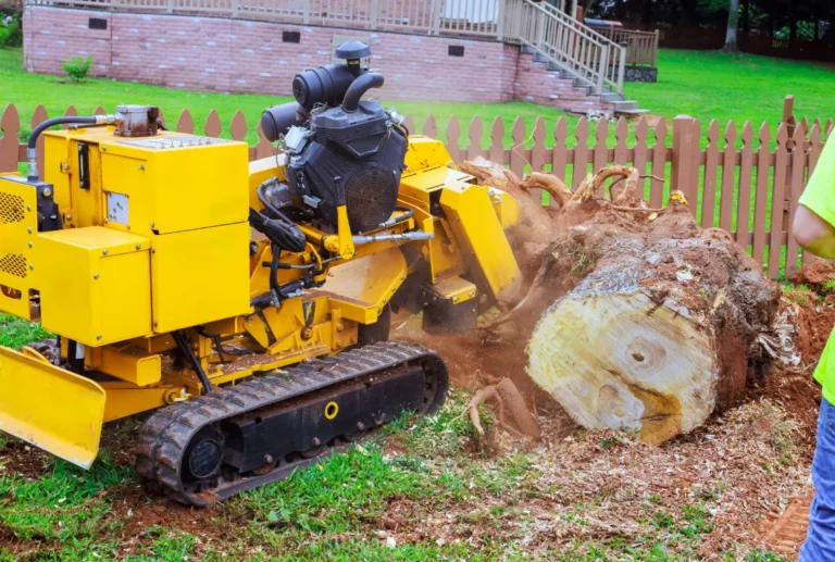 Stump Grinding Companies